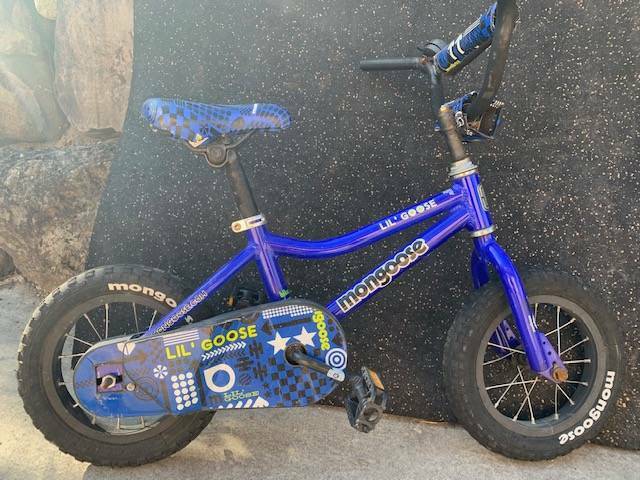lilgoose 12 inch bike